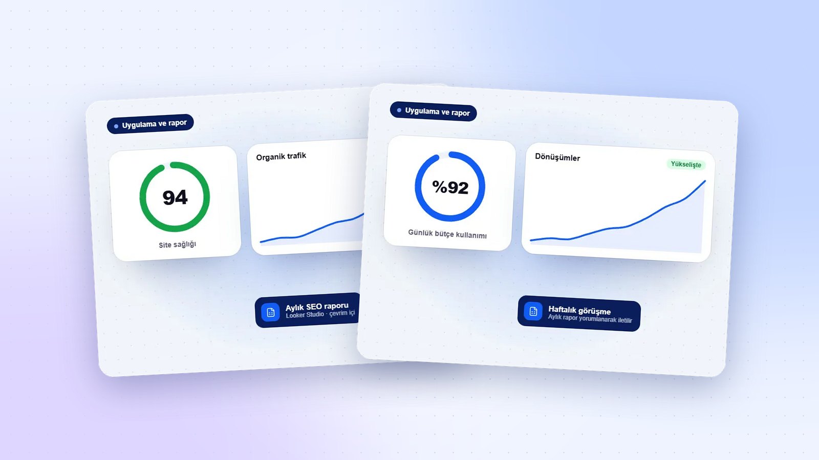 SEO ve Google Ads rapor ekranları